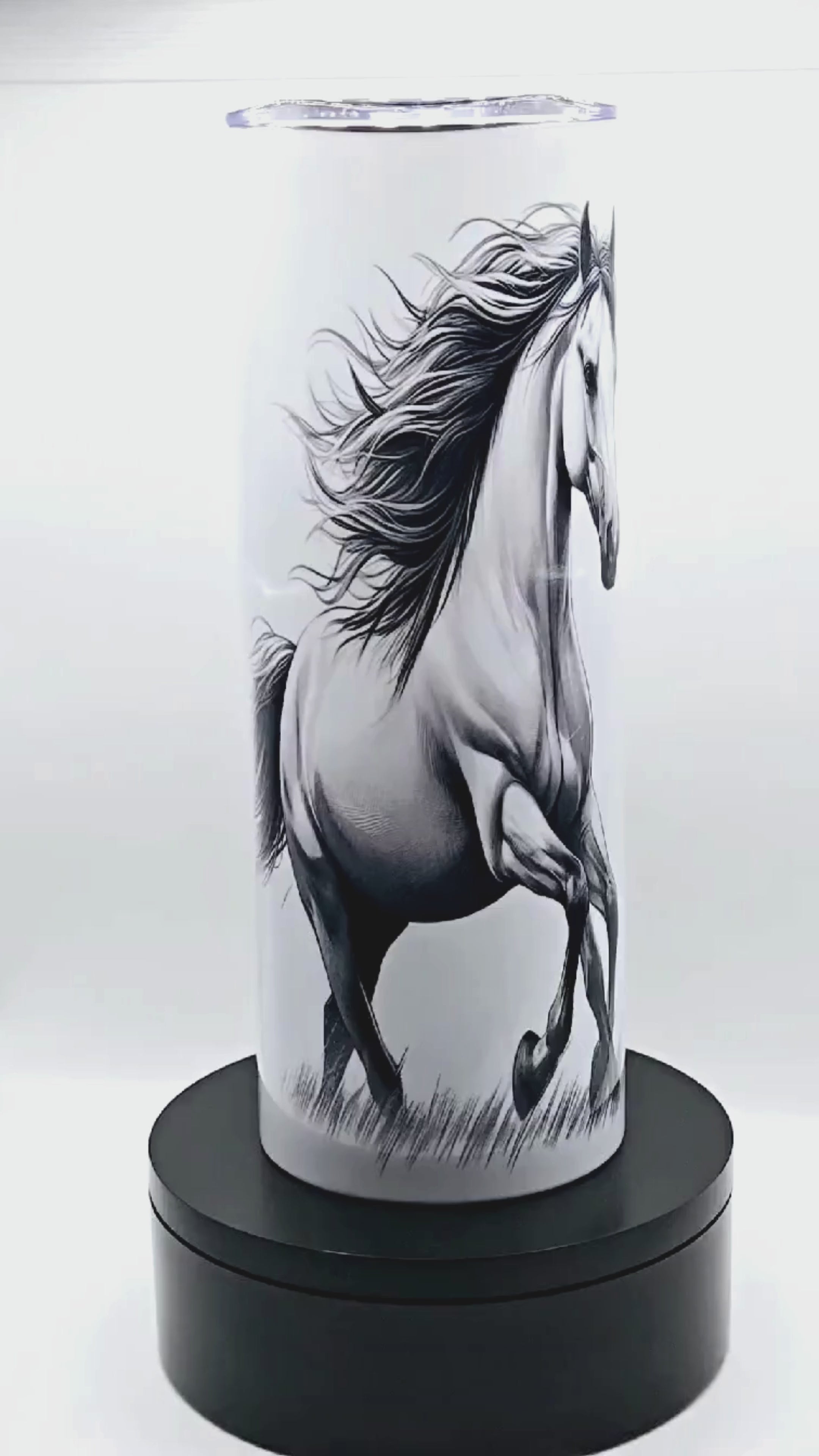 Majestic Horse
